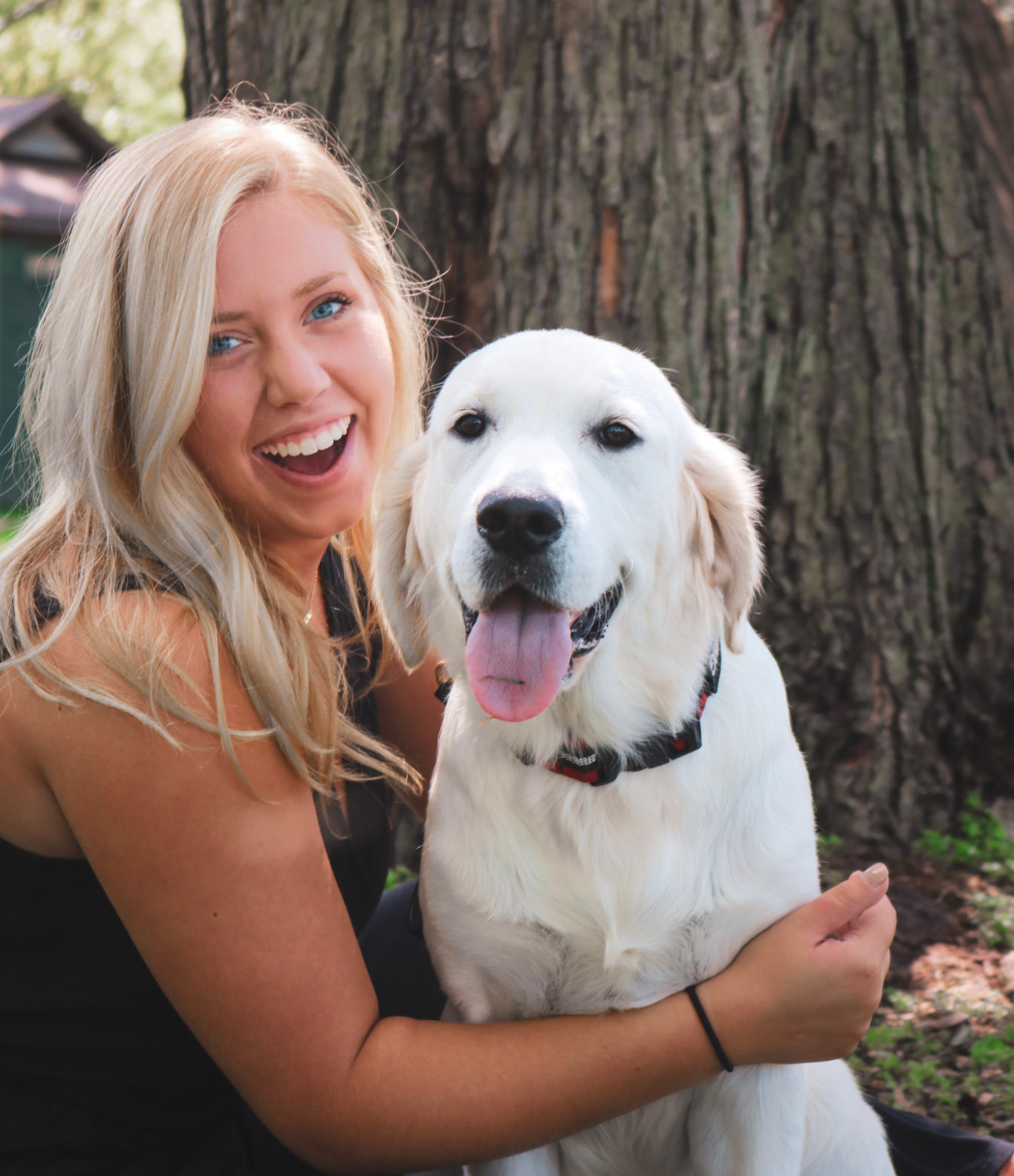 Indiana golden retriever breeder